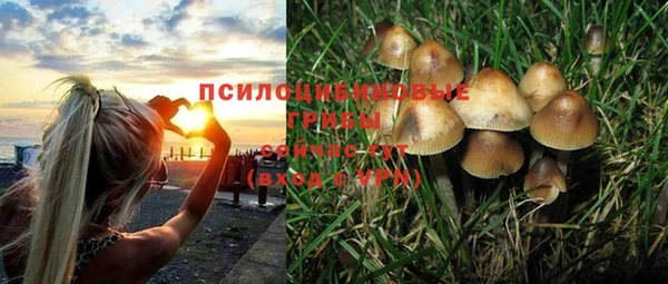винт Балахна